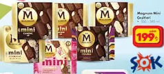 MAGNUM MİNİ DONDURMA ÇEŞİTLERİ 6'LI
